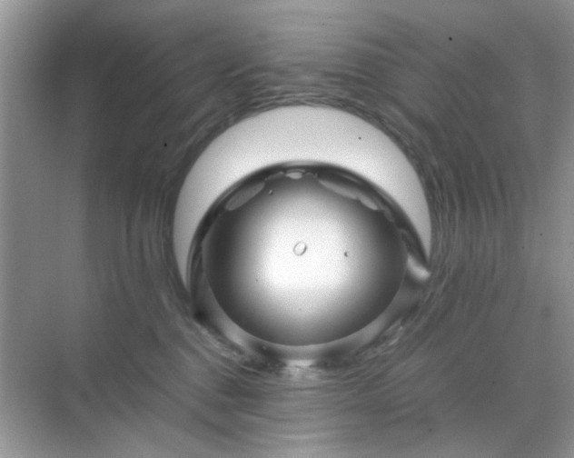 X0000071810376200607072124