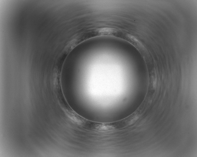 X0000071810379200607072124