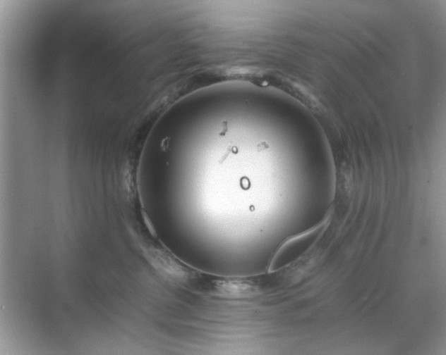 X0000071810380200607072124