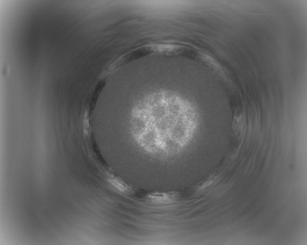 X0000071810381200607072124