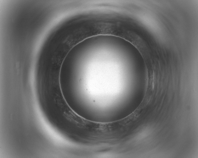 X0000071810383200607072124