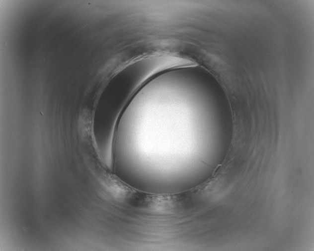 X0000071810384200607072124