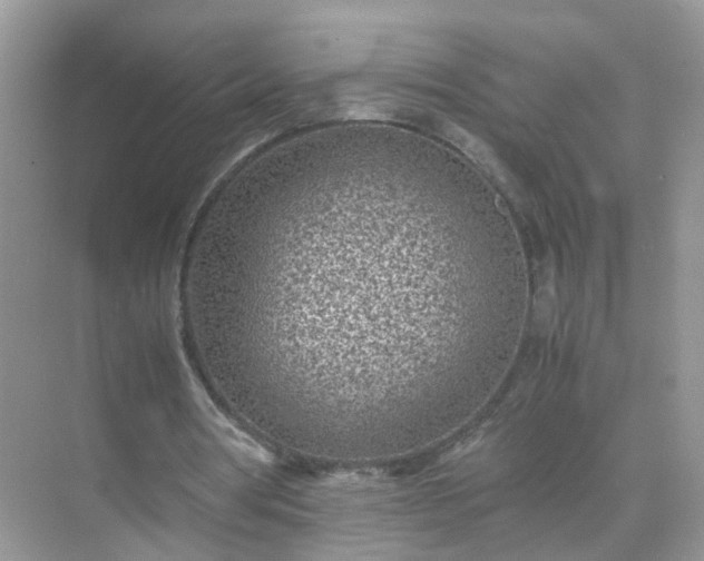 X0000071810386200607072123