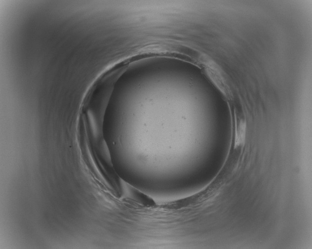 X0000071810387200607072123