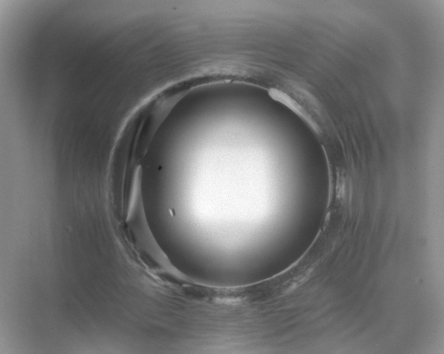 X0000071810388200607072123