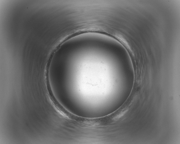 X0000071810389200607072123