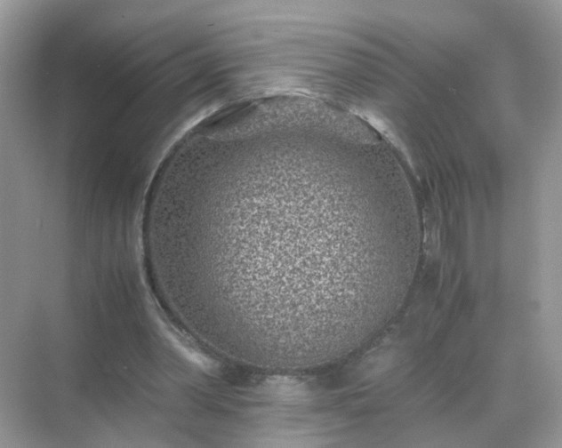 X0000071810390200607072123