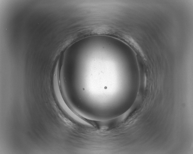 X0000071810393200607072123