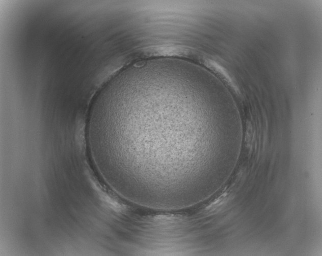 X0000071810394200607072123