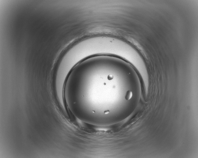 X0000071810399200607072123