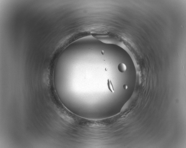 X0000071810400200607072123