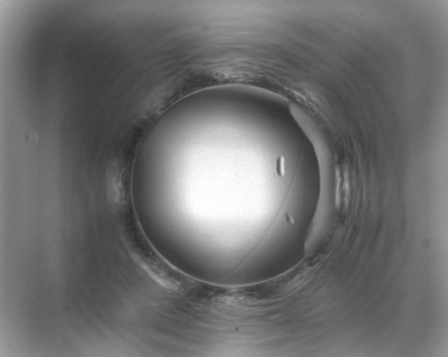 X0000071810408200607072122