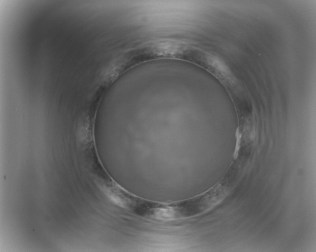 X0000071810411200607072122