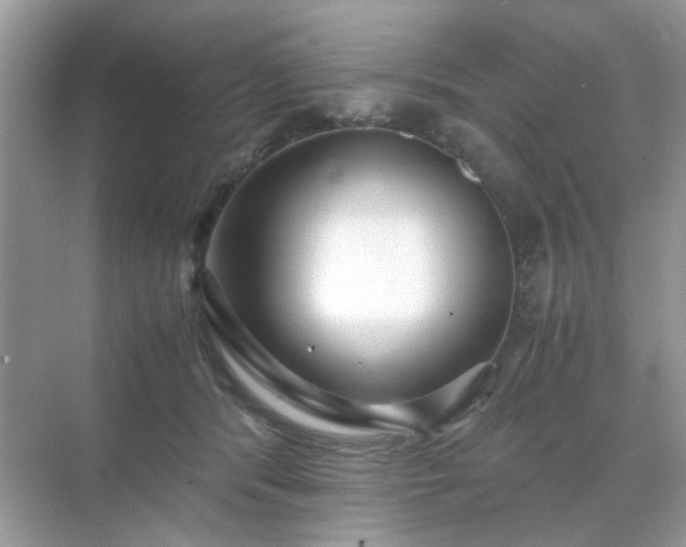 X0000071810416200607072122