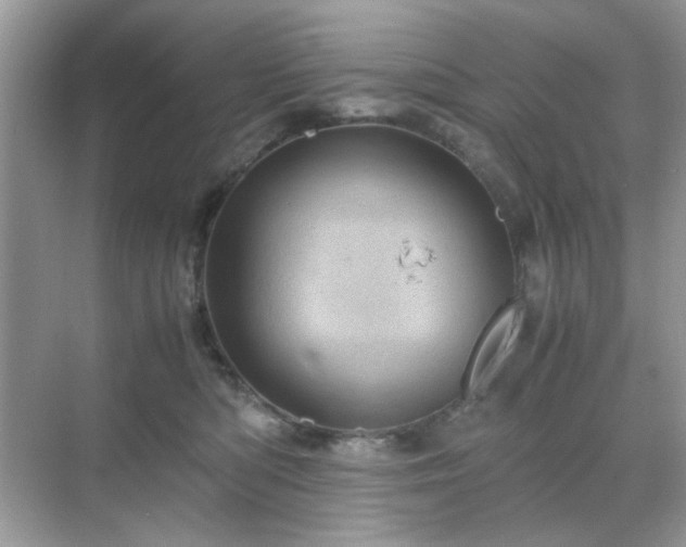 X0000071810422200607072122