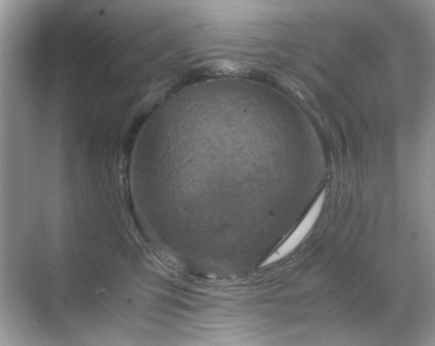 X0000071810423200607072122