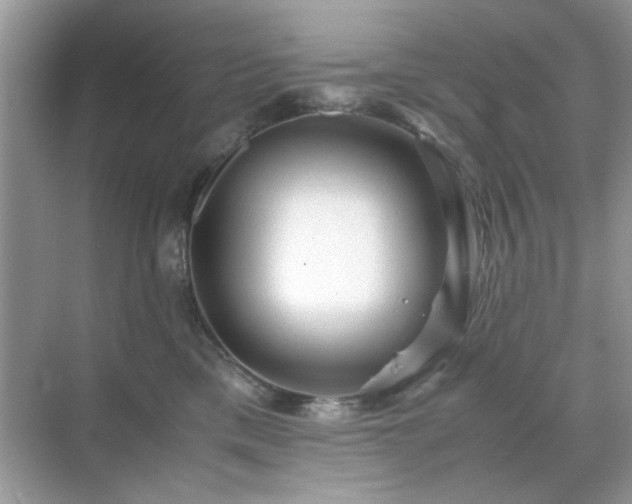 X0000071810425200607072122