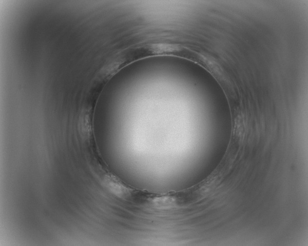 X0000071810426200607072122