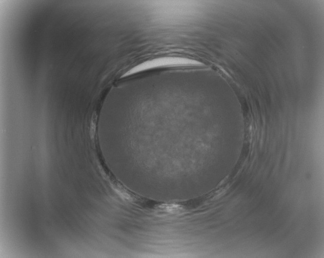 X0000071810427200607072122