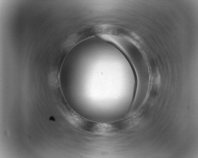 X0000071810429200607072122