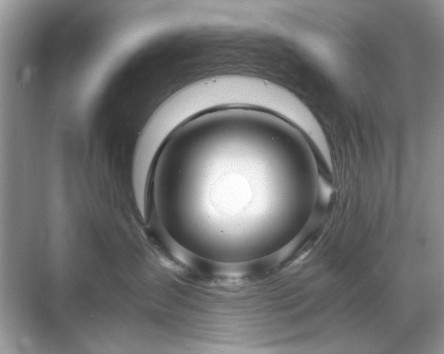 X0000071810431200607072122