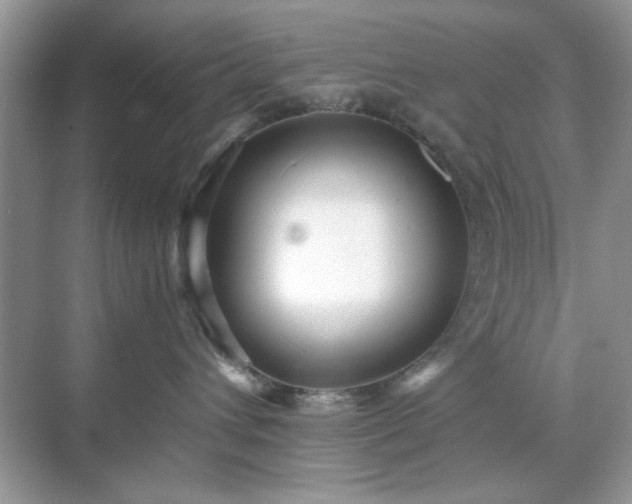 X0000071810432200607072122