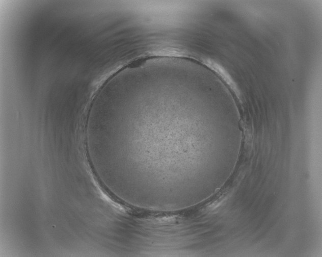 X0000071810433200607072121