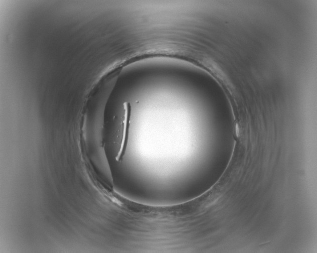 X0000071810434200607072121