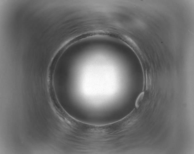 X0000071810435200607072121