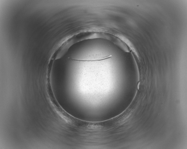 X0000071810437200607072121