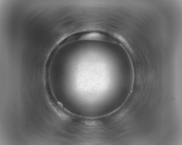 X0000071810439200607072121