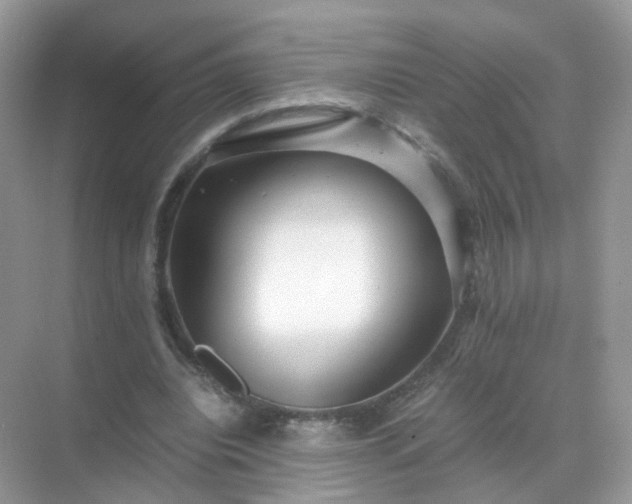 X0000071810440200607072121