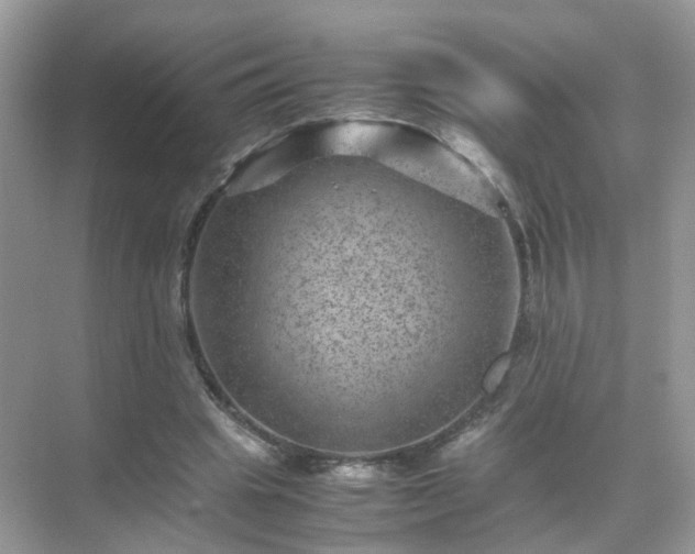 X0000071810441200607072121