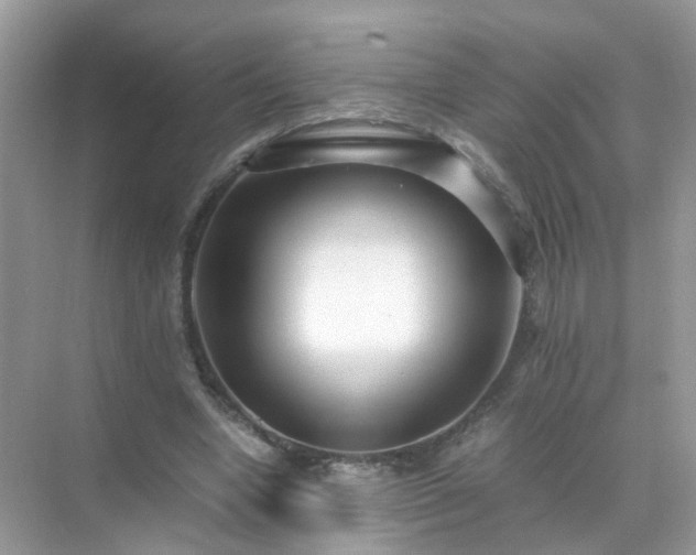 X0000071810442200607072121