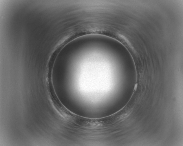 X0000071810443200607072121