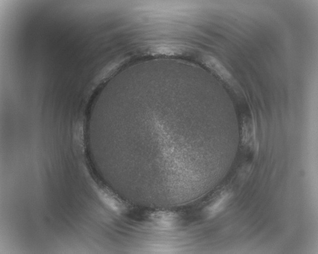 X0000071810444200607072121