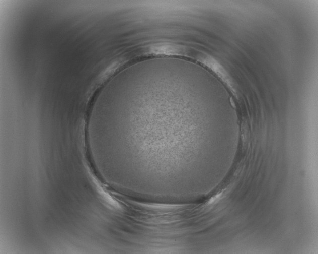 X0000071810445200607072121