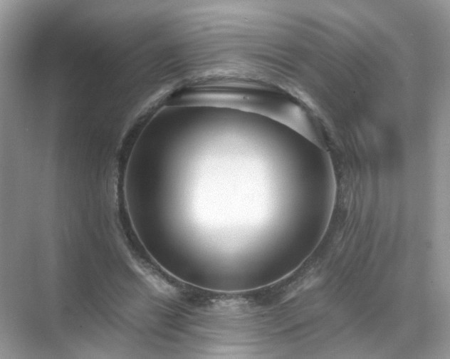 X0000071810446200607072121