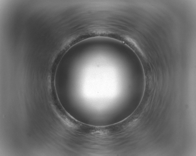 X0000071810447200607072121