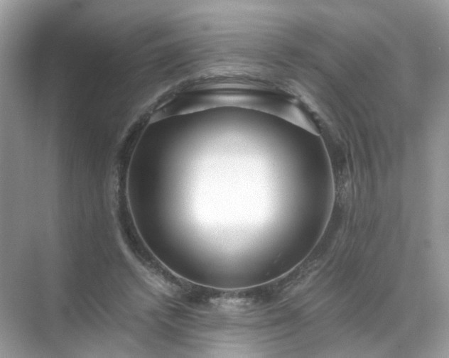 X0000071810448200607072121