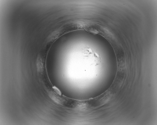 X0000071810456200607072122