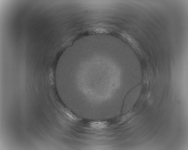 X0000071810465200607072122