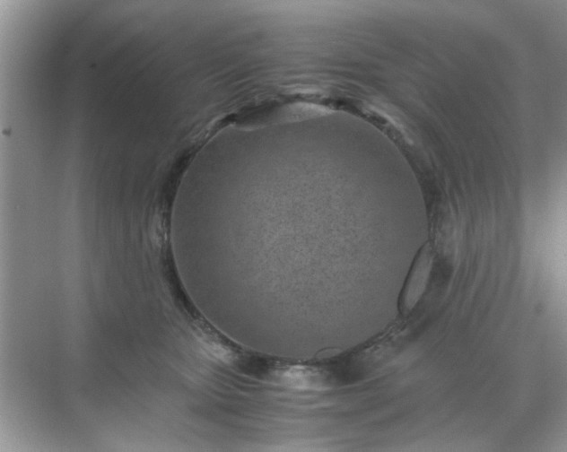 X0000071810467200607072122