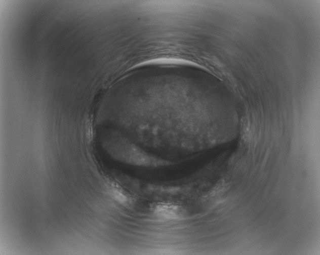 X0000071810471200607072122