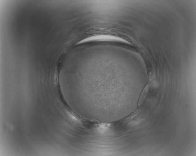 X0000071810474200607072122