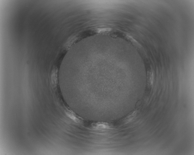 X0000071810475200607072122