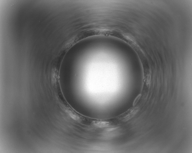 X0000071810476200607072122