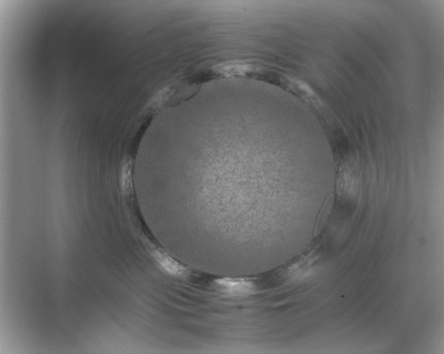 X0000071810477200607072122