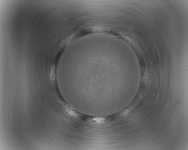 X0000071810478200607072122