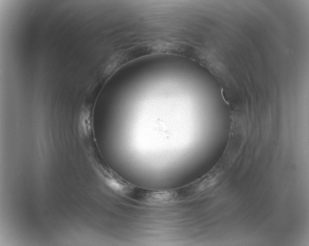 X0000071810479200607072122